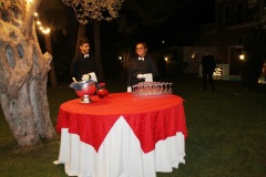 IMG-3413