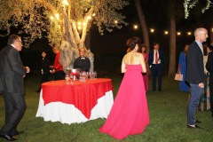 IMG-3425