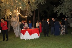 IMG-3428